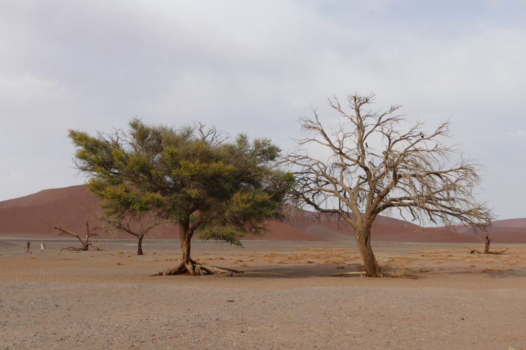 Boost your resilience